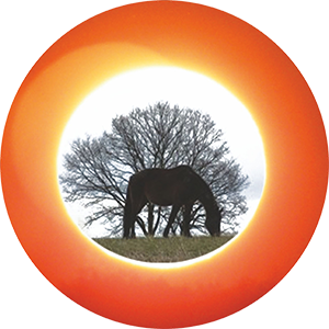 Logo Gnadenbrothof Ziegenhain e.V.